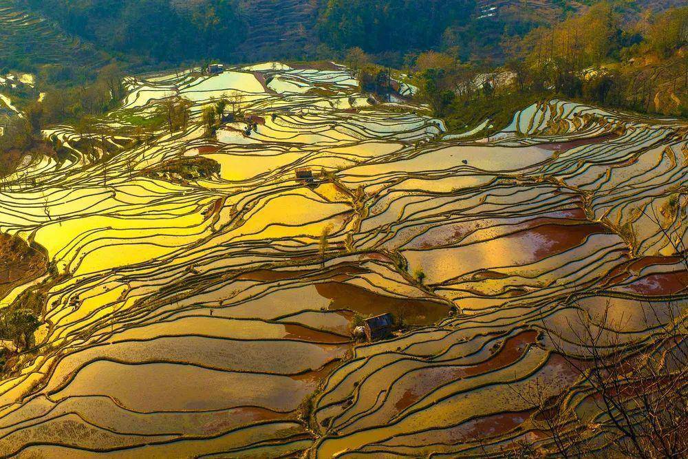 红河哈尼梯田景色