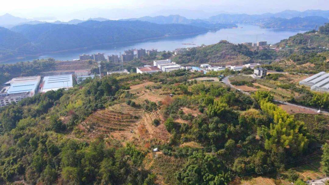 寻找淳安"乡村共富合伙人",i want you!_项目