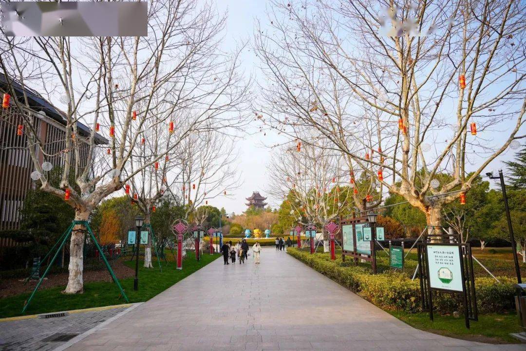 市区新世纪公园内,一串串鞭炮模样的红灯笼悬挂在树梢上,热烈的"中国