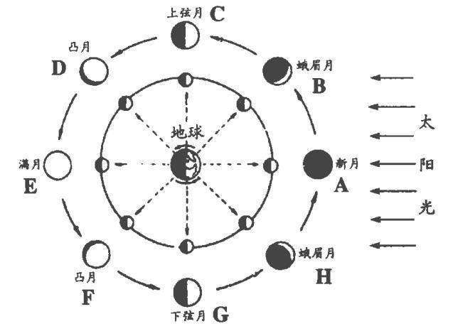 初一月相图怎么画图片