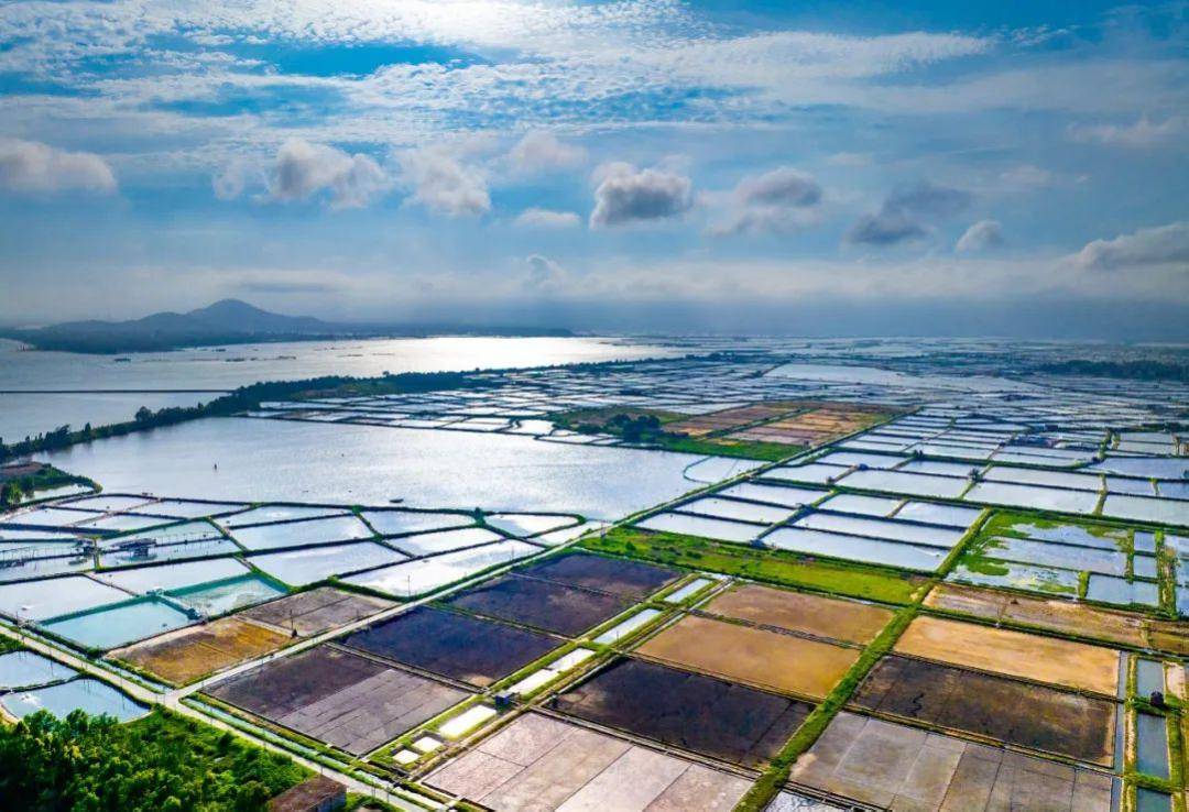 广东"百千万工程"典型村乡村休闲精品第