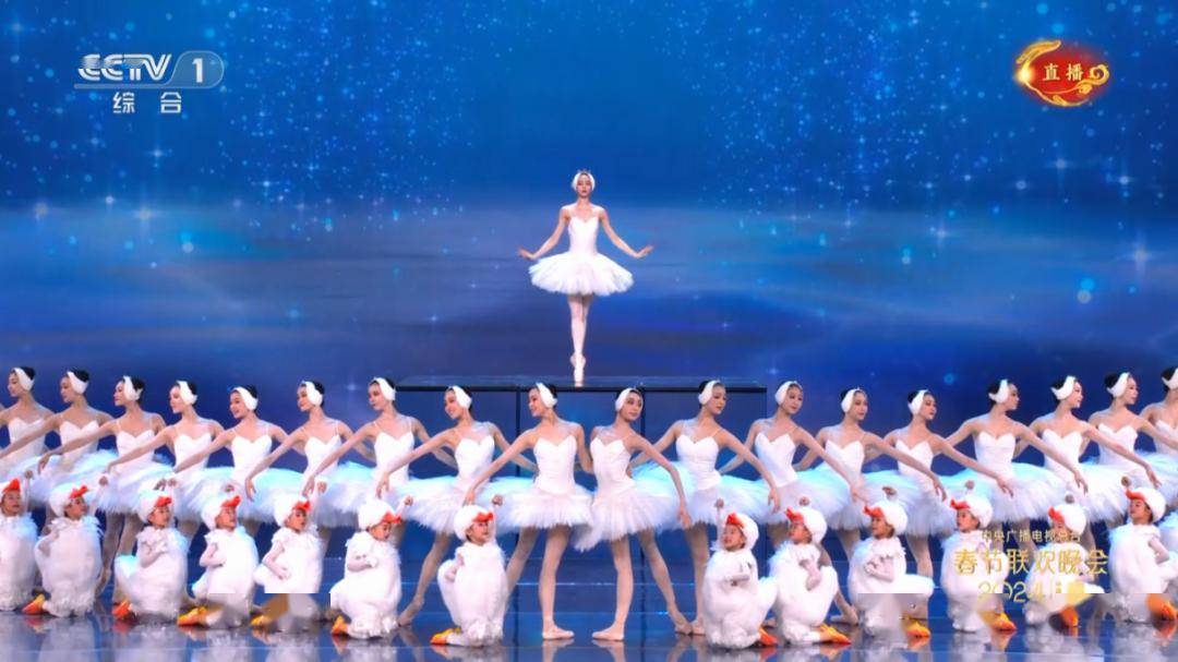 "义乌小鹅"回家啦_鹅鹅_视频_表演