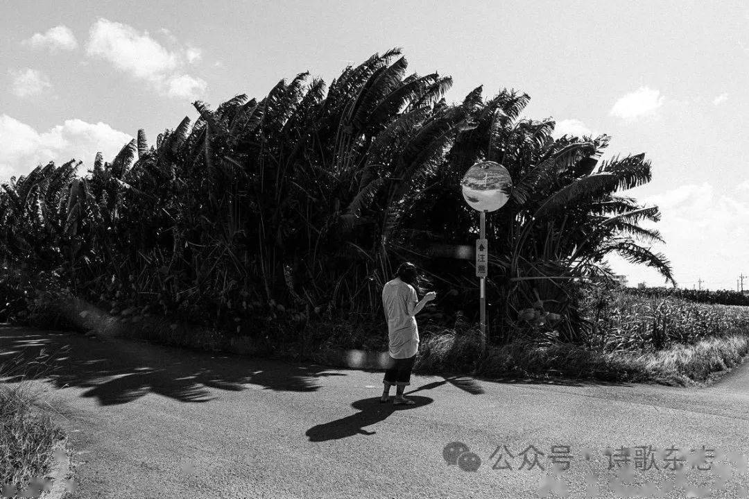 图影|风吹过衣裙,吹过身,心(85)_摄影_观念_青春