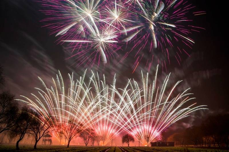 红牡丹腾空而起,伴随着特效高空字幕"新年好"的呈现,本场焰火晚会正式