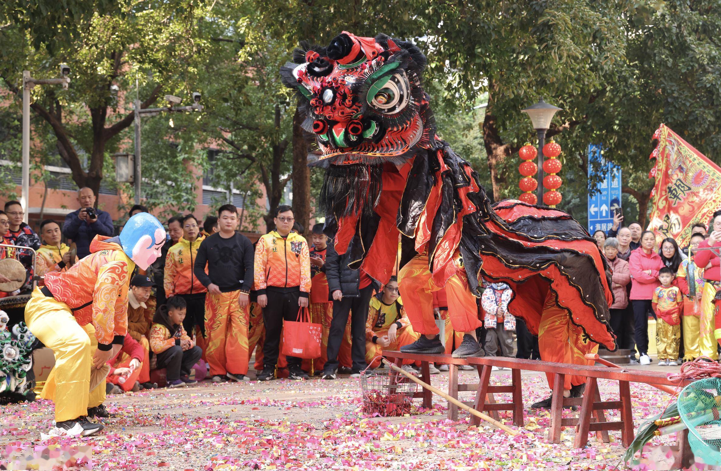 广东舞狮采青图片