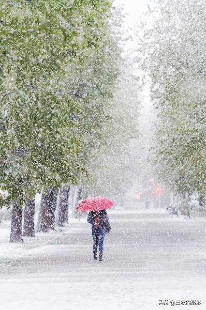 后日13号寒潮大降温,新一轮雨雪冰冻天气来袭,60年难遇冷春?