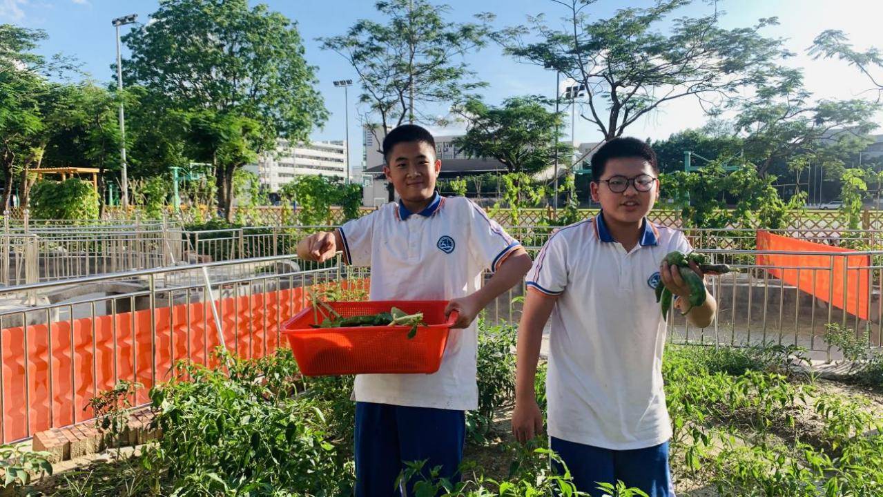 劳育寄语|清溪中学校长曹定钦:快乐劳动,品幸福"年味"_教育_东莞_种植