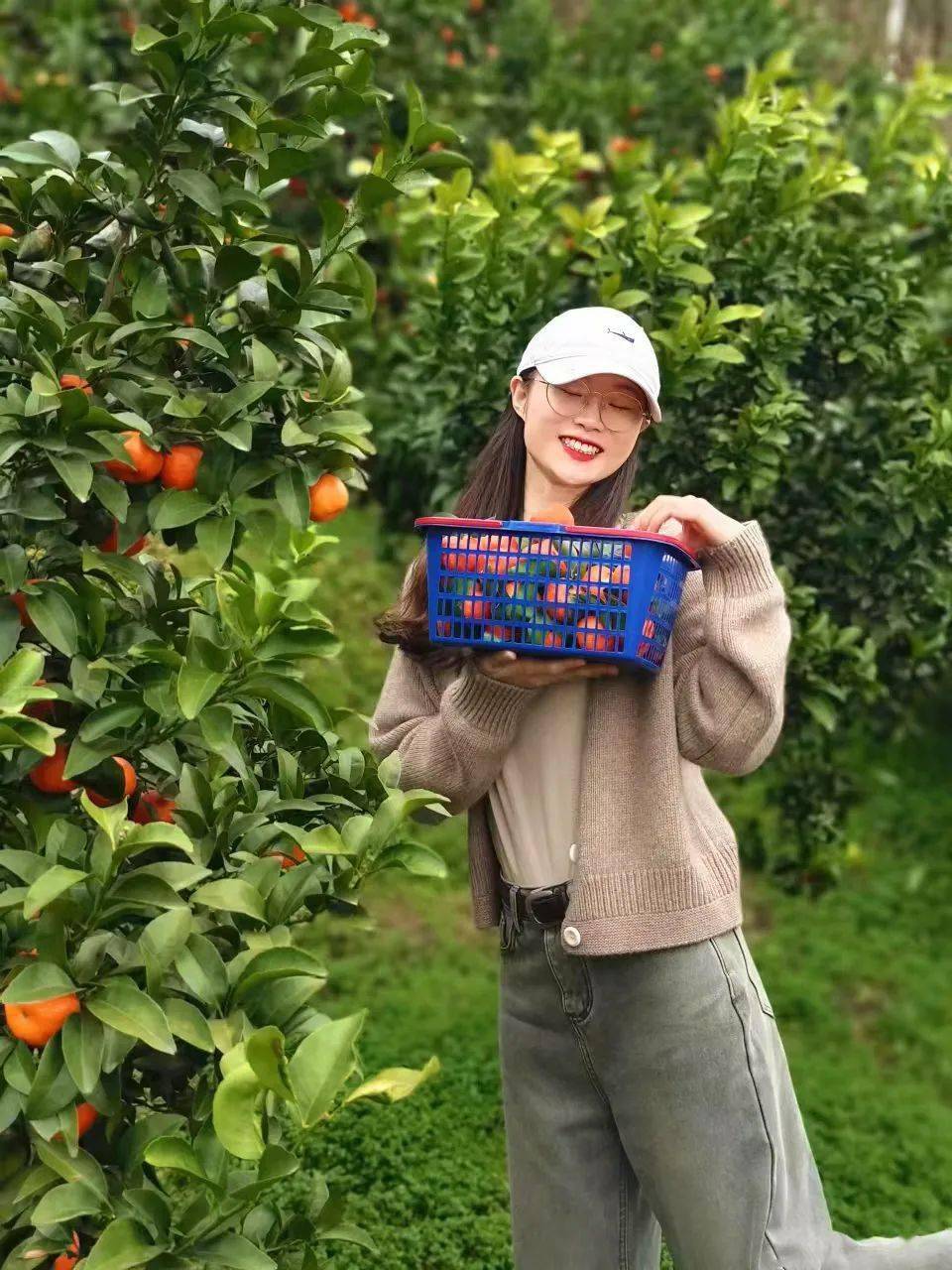 果园_平阳_剪刀