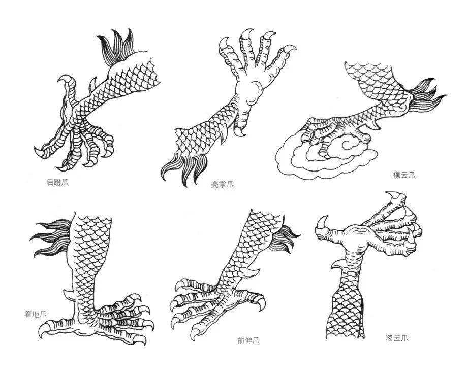 龙尾部的造型特点龙尾,作为龙体的延伸,其造型的变化直接关系到整条龙