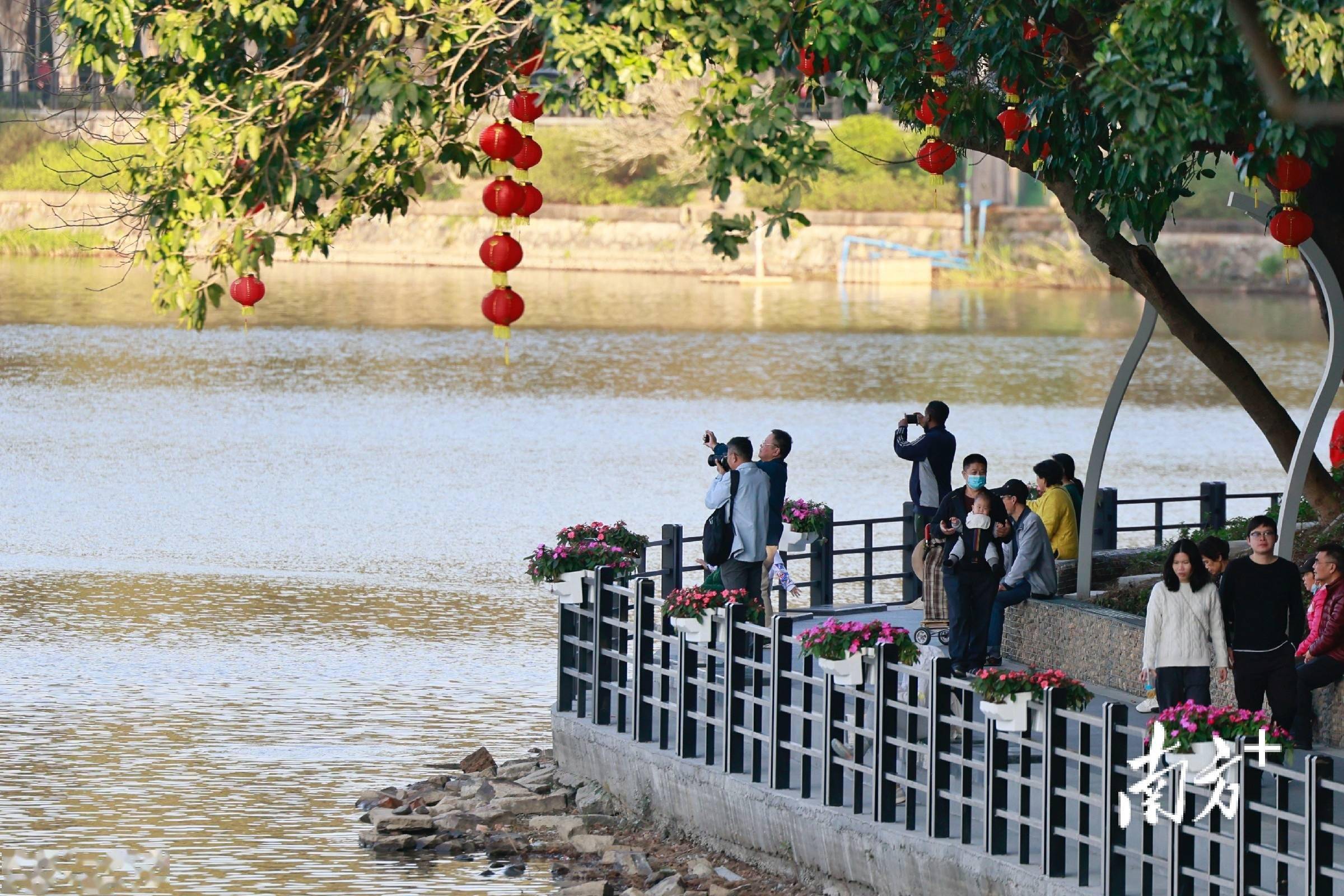 大年初三天气放晴,广州麓湖公园游人如织丨南方 视频_游客_市民_湖畔