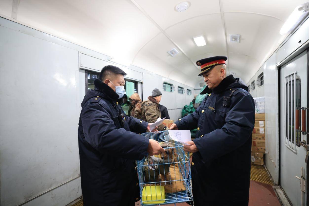 t48次列车是由齐齐哈尔开往北京的特快旅客列车,全程共有8个站点