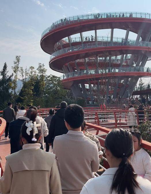 乡村旅游活力迸发在恩阳空港花海景区,来自巴中市的游客王彩云看到