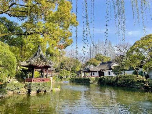 好运龘龘 畅游青浦|一起踏春寻"梅",走进繁花世界