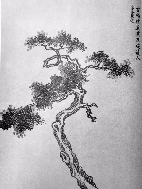 学画山水画,首先要学会画树,学画树先学画枯树!