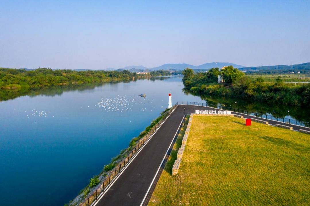 张颂文又上热搜,跟他一路"狂飚"游韶关