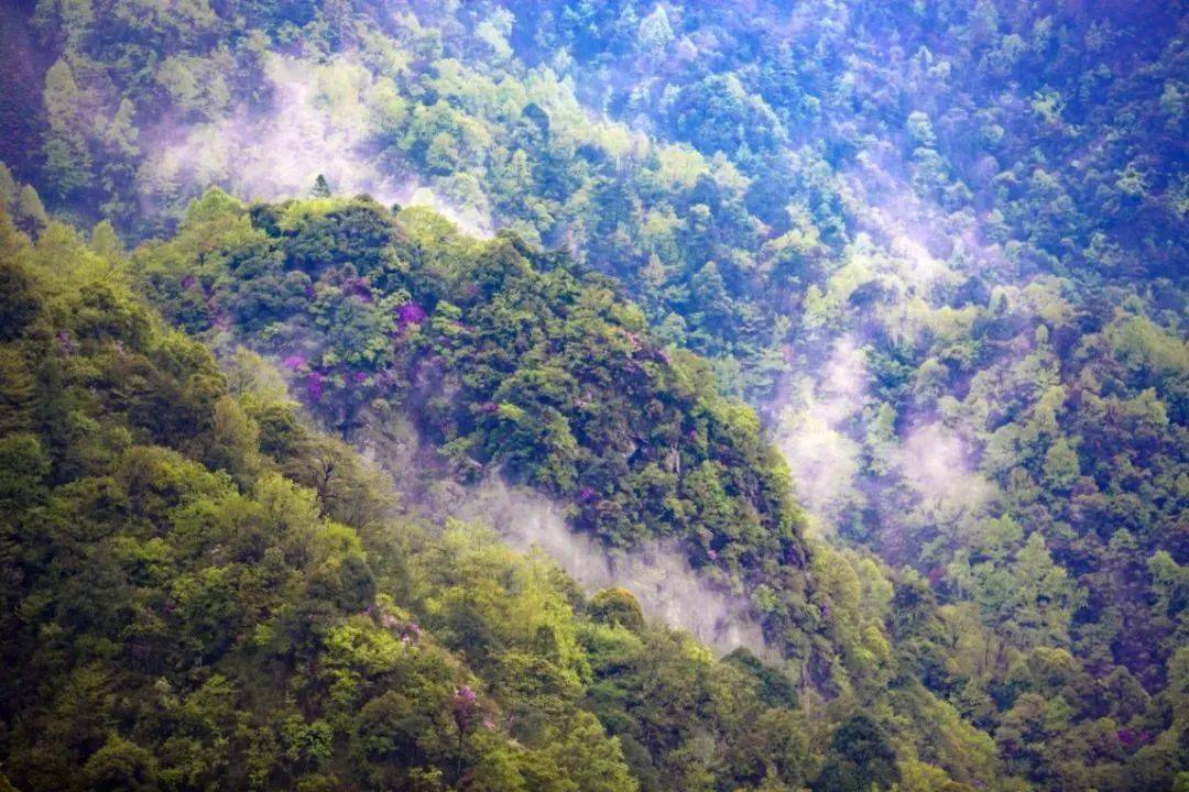 仙寓山景区位于仙寓镇,是一个集原生态自然风光和悠久历史文化于一体