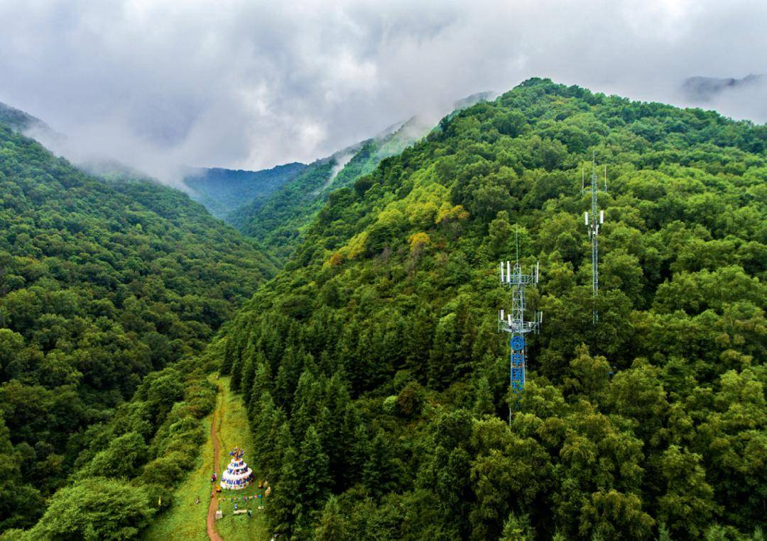 与贺兰山不同,六盘山凉爽湿润,山林葱郁,是西北地区最重要的水源涵养