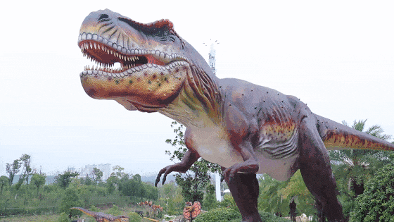 春节期间,三佳农业公园有梦幻泡沫大战,野人部落表演,超萌卡通区,恐龙