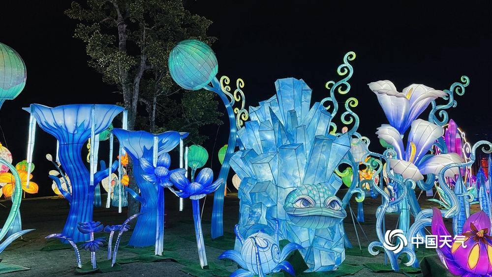 喜迎春节 广西南宁青秀山花灯流光溢彩_天气_中国_网讯