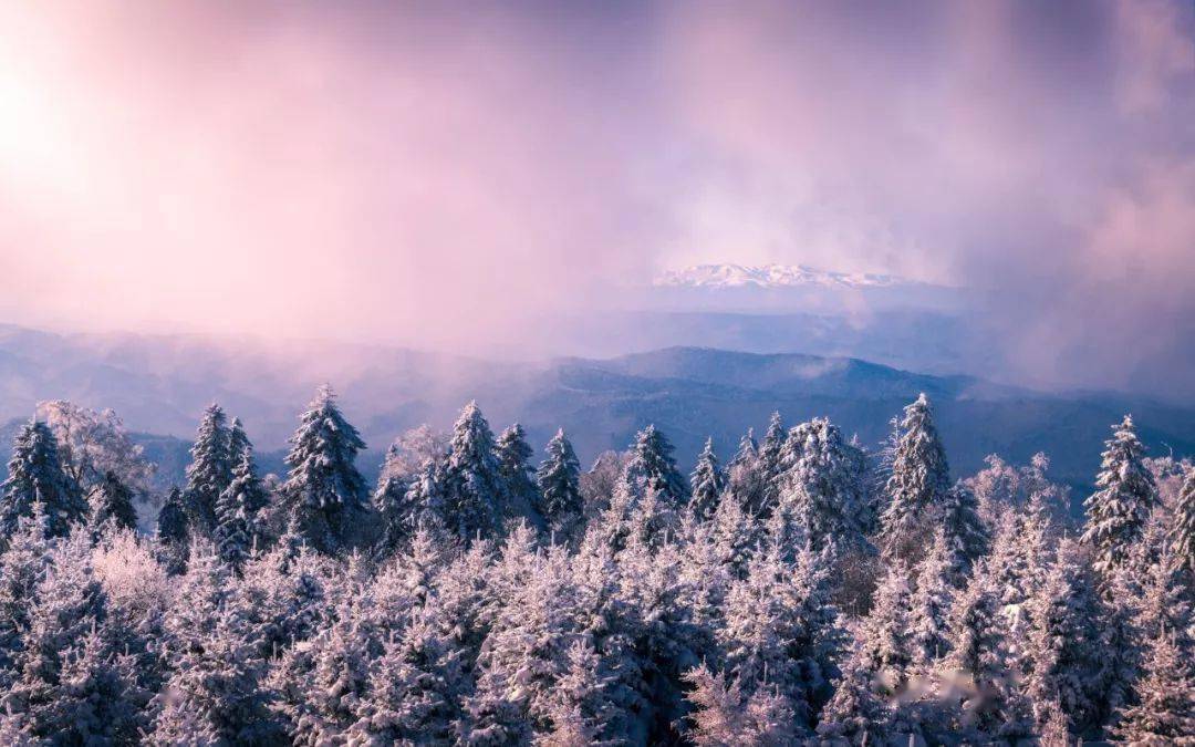 家庭_曾国藩_父母