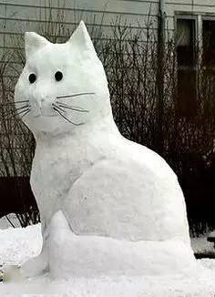 大雪过后,谁堆的雪人?你是要笑死我吗?_美女_时候_表情