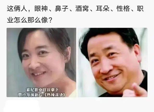 贾玲瘦了之后却……网友:还真是像._许晴_苗圃_姜昆