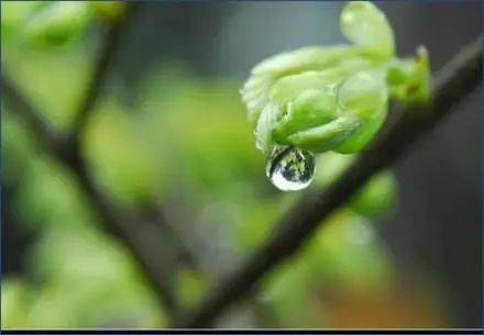 雨水節氣的由來_春雨_公曆_降雨