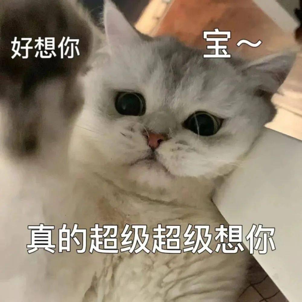 但谢谢你给我的甜9697生活偶尔会有不如意撒娇情侣表情包cr