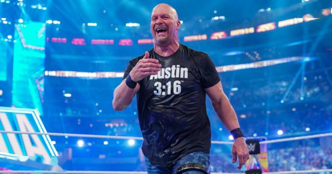 史蒂夫·奥斯丁_摔跤_冷石