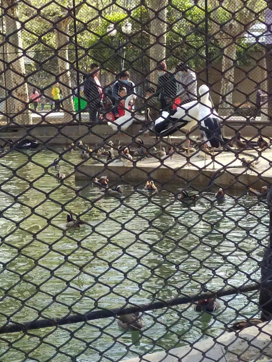 蚌埠的新动物园,要建在这里→_工作_建设_网友