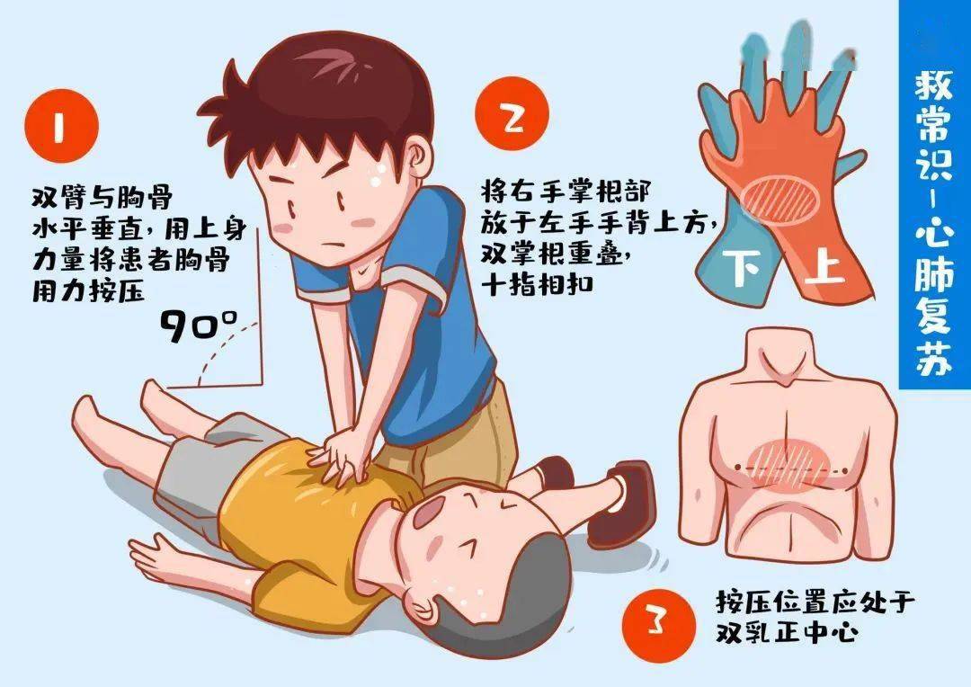 01胸外按压先将患者置于硬地面或床板,取仰卧位,解开外衣,进行胸外
