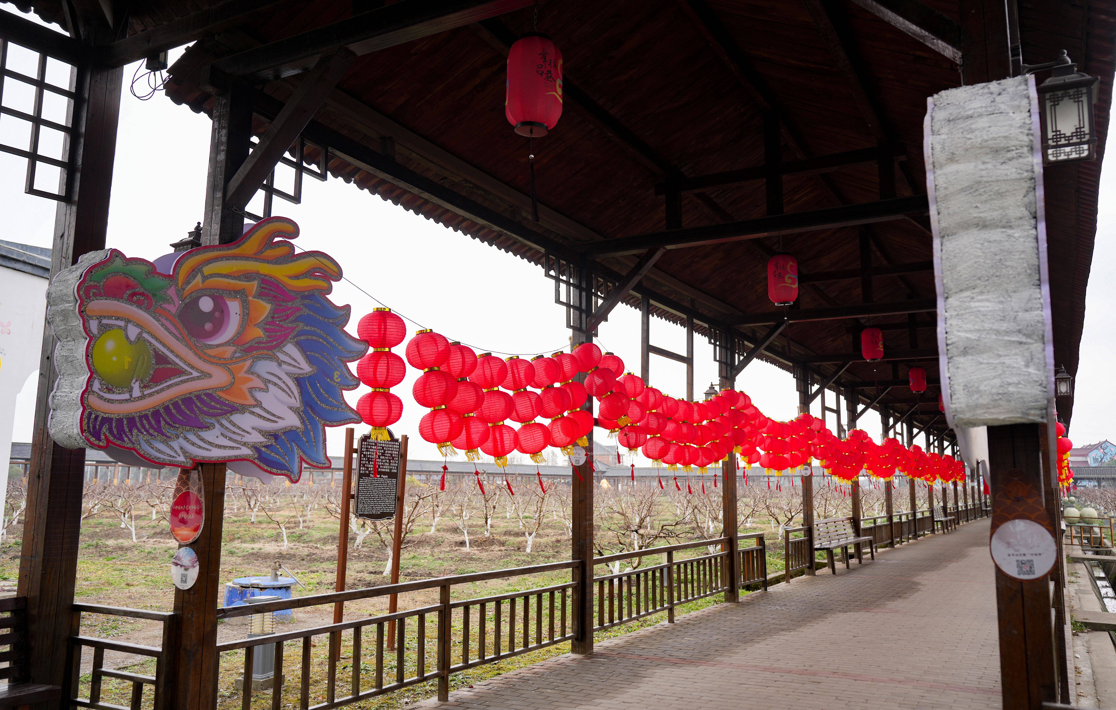 以文化贺新,以非遗寄意,"龙元素"作品绽放沪郊城乡_焦