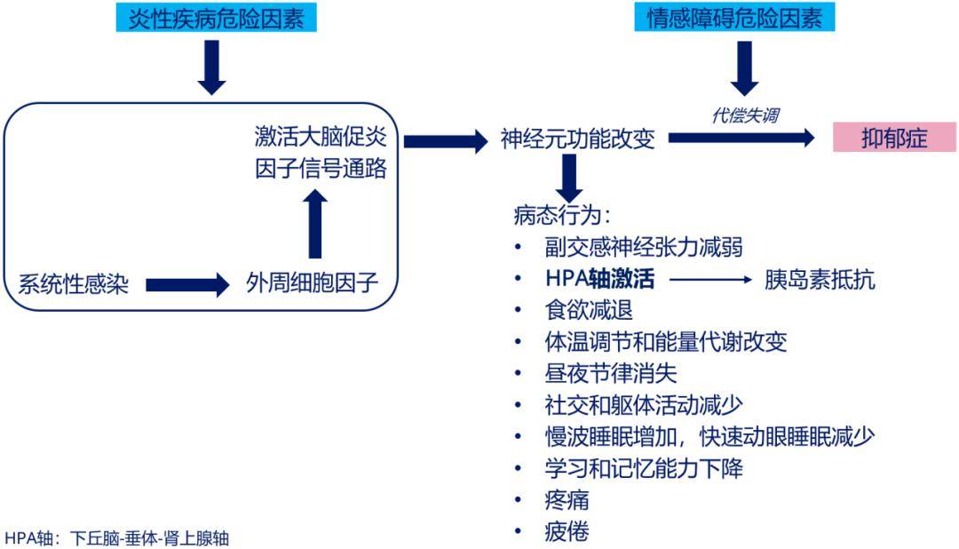 潘琦教授:因時而變——聚焦糖尿病新興併發症的負擔和