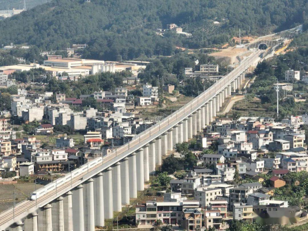 【四面八方武平人 高铁回家过大年征文展播75】联龙