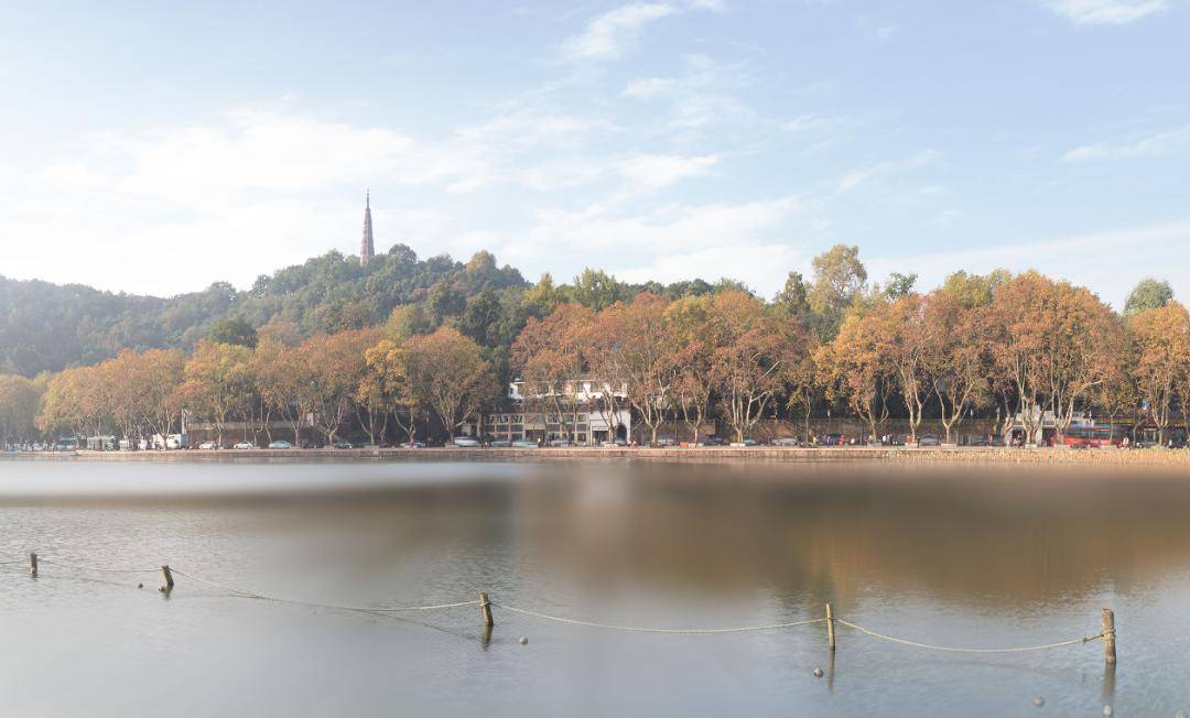 杭州这些宝藏打卡点,满满氛围感_曲院风荷_西湖_spring