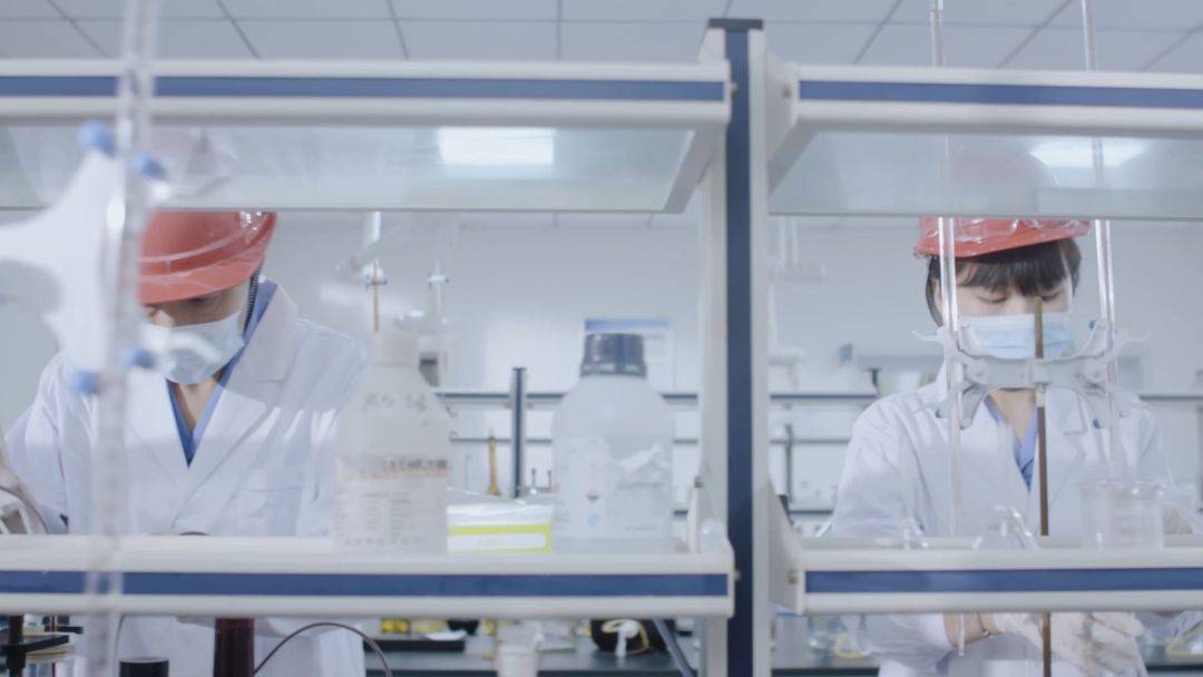 解码闵行这个镇宜居安居的发展密码_沈静