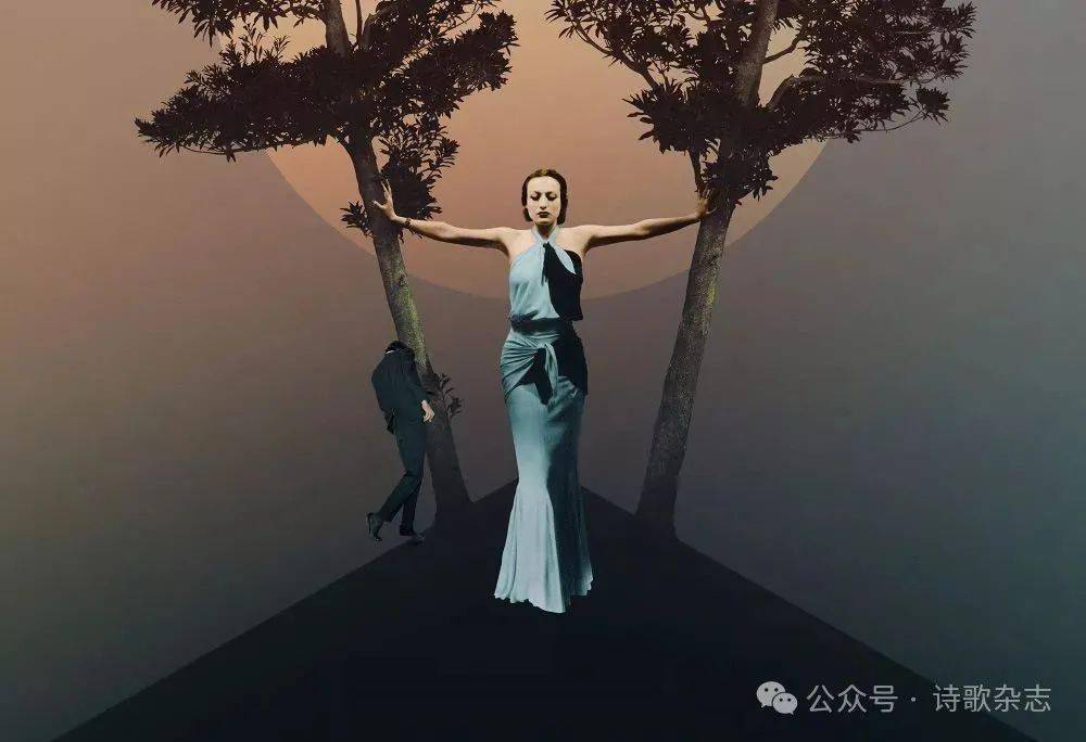 图影·贴拼|日常即荒唐|可观,可意会(89)_摄影_观念