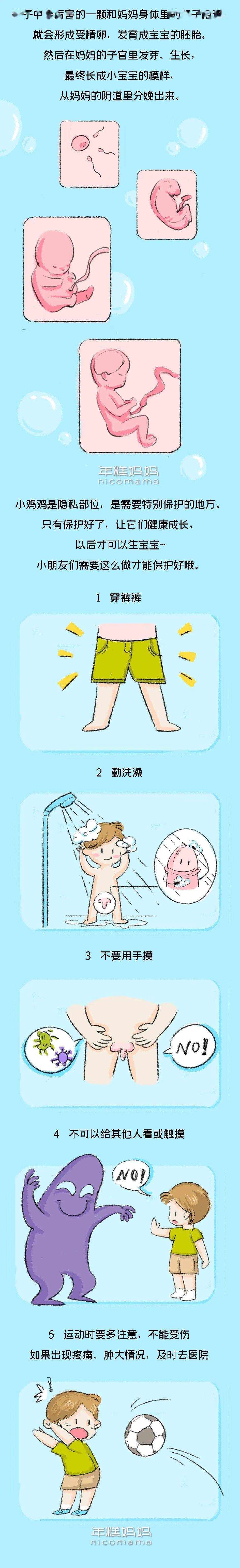 "为什么爸爸的小鸡鸡那么大,还长了很多毛?"别尴尬,帮