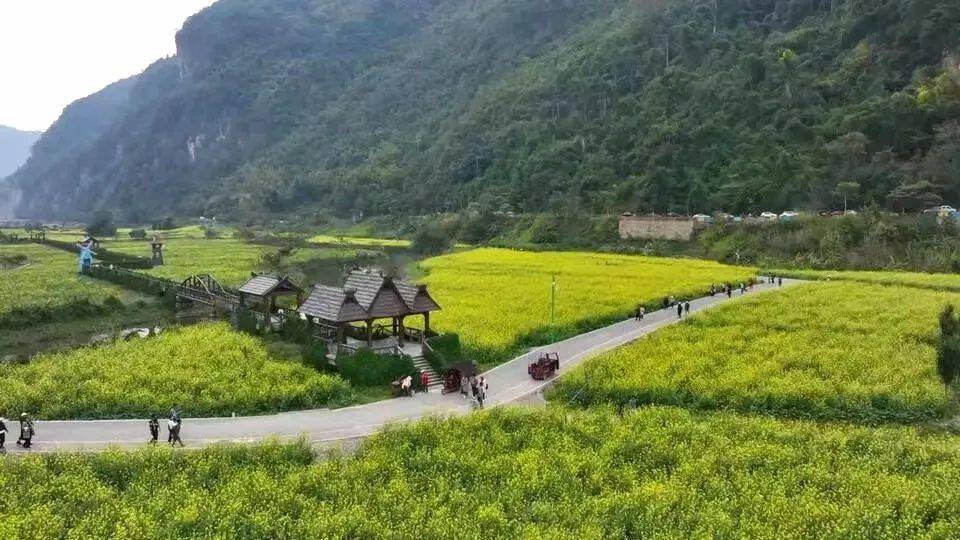 新春走基层 | 沧源:班鸽村景区喜迎四方游客_视频_全屏_详情