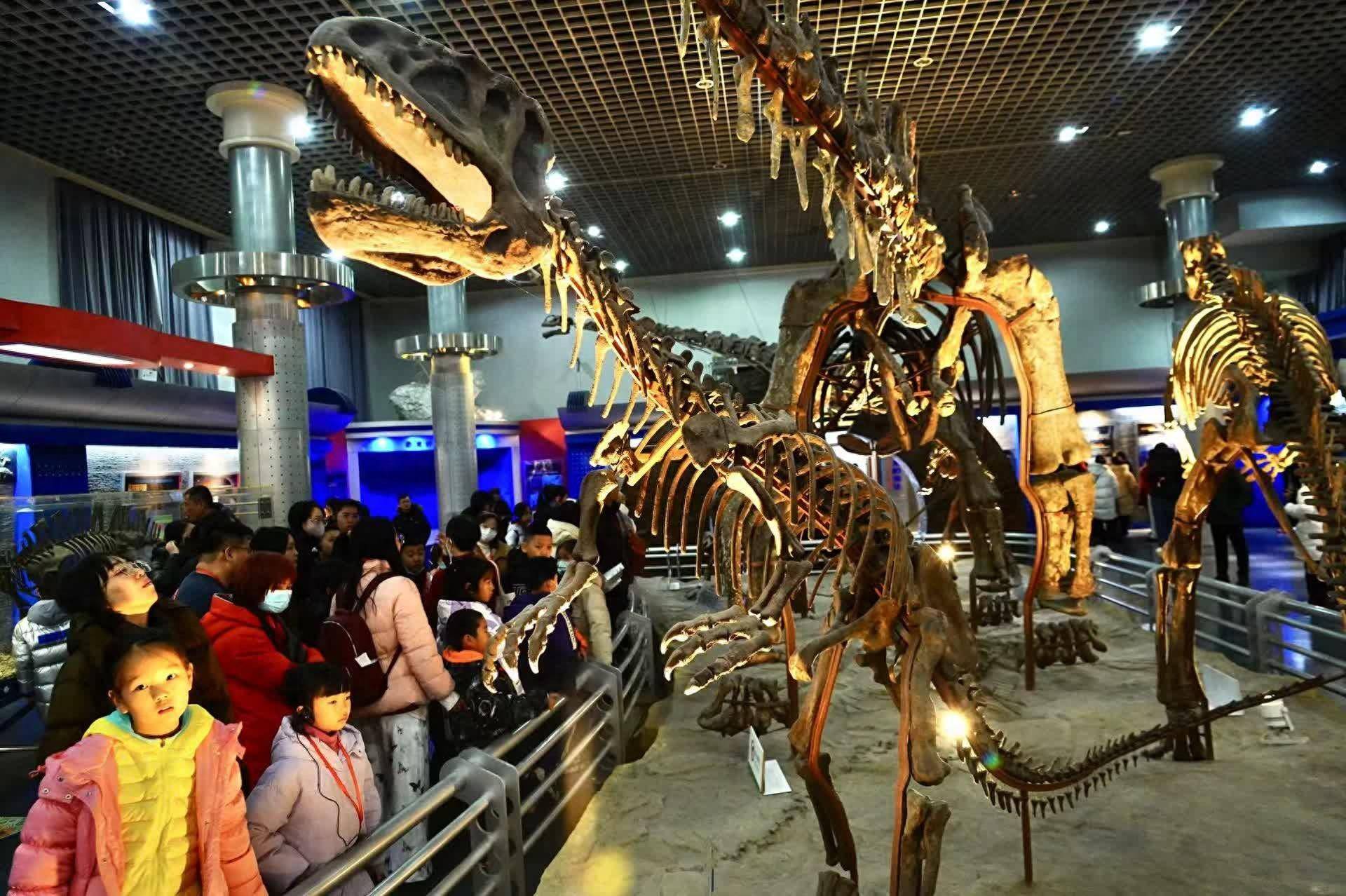 龙年春节,到国家自然博物馆"寻龙"_观众_恐龙_化石