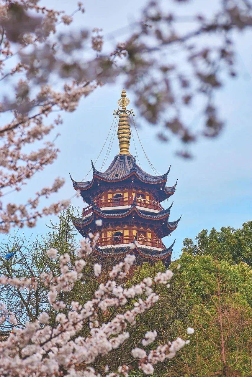 美得_鸡鸣寺_雨花台