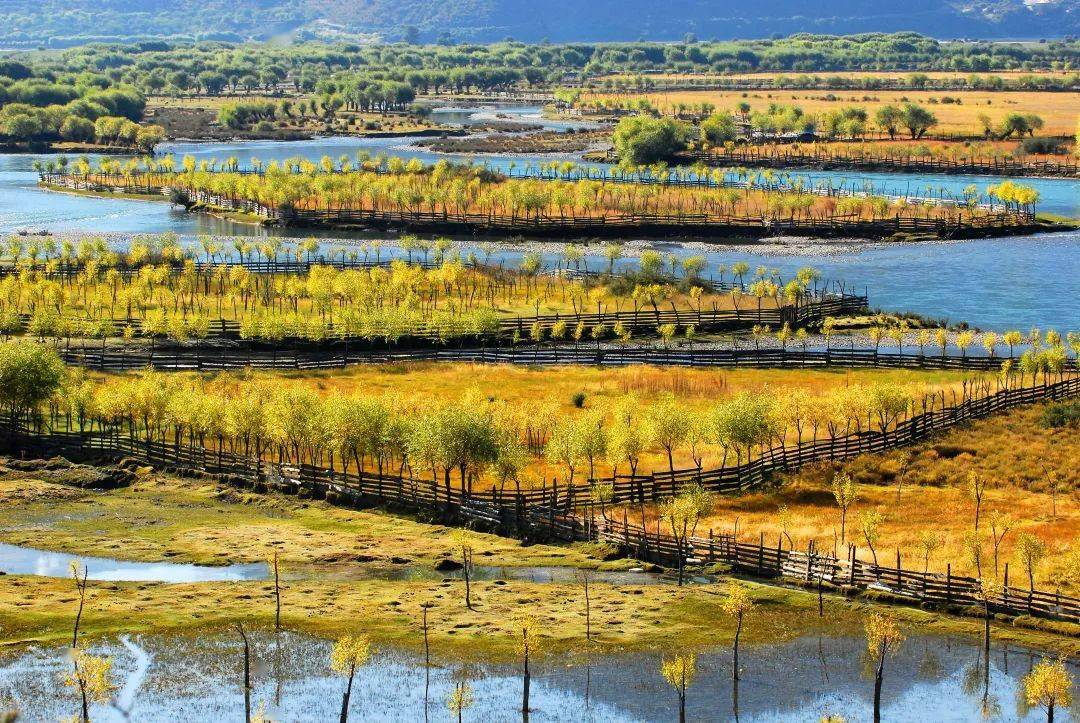 这里是西藏,是否是你心中的远方?_海拔_珠穆朗玛峰_