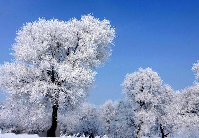 【地理專題】與冰雪有關的地理概念,如何區分海冰,,與