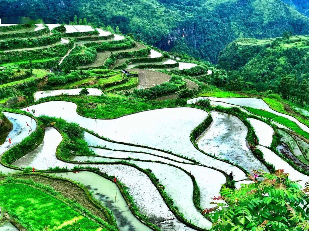 而小舟山的壮观梯田和千峡湖的绝美景色,更是让人惊叹不已.