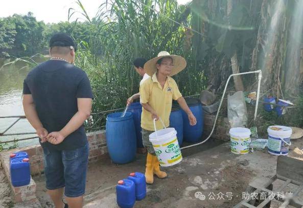 规模猪场清栏后,如何快速处理残留粪污?