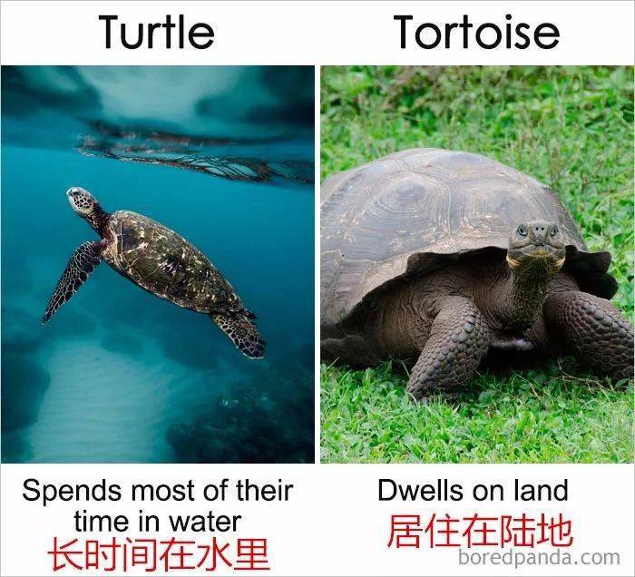 boat和ship的区别是什么?这些容易混淆的英文表达,有!