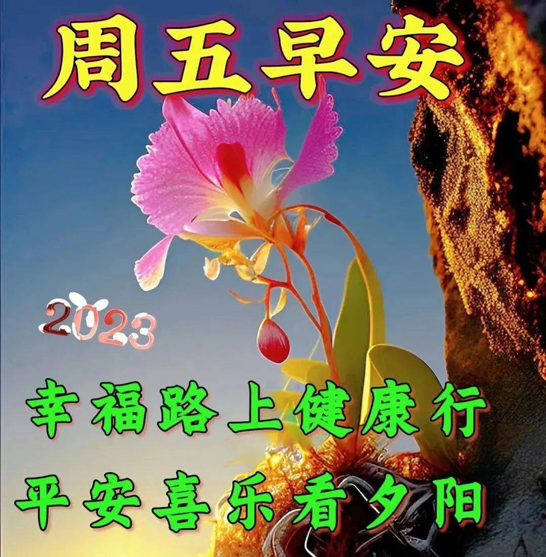 早上好