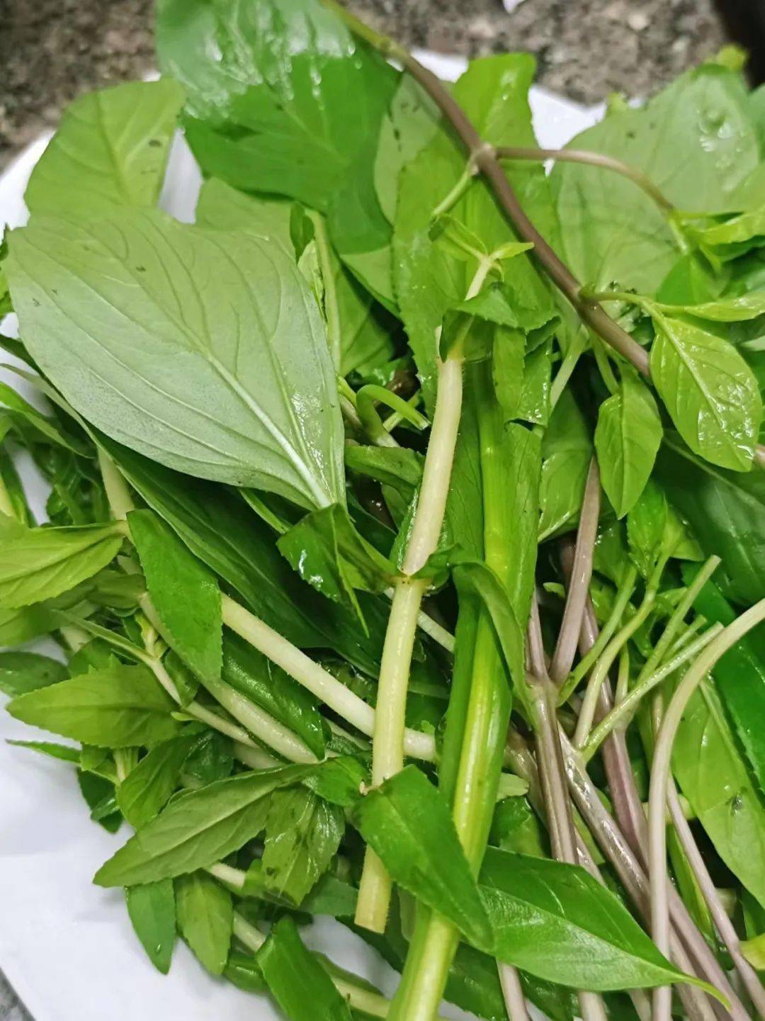 越南_护照_市场