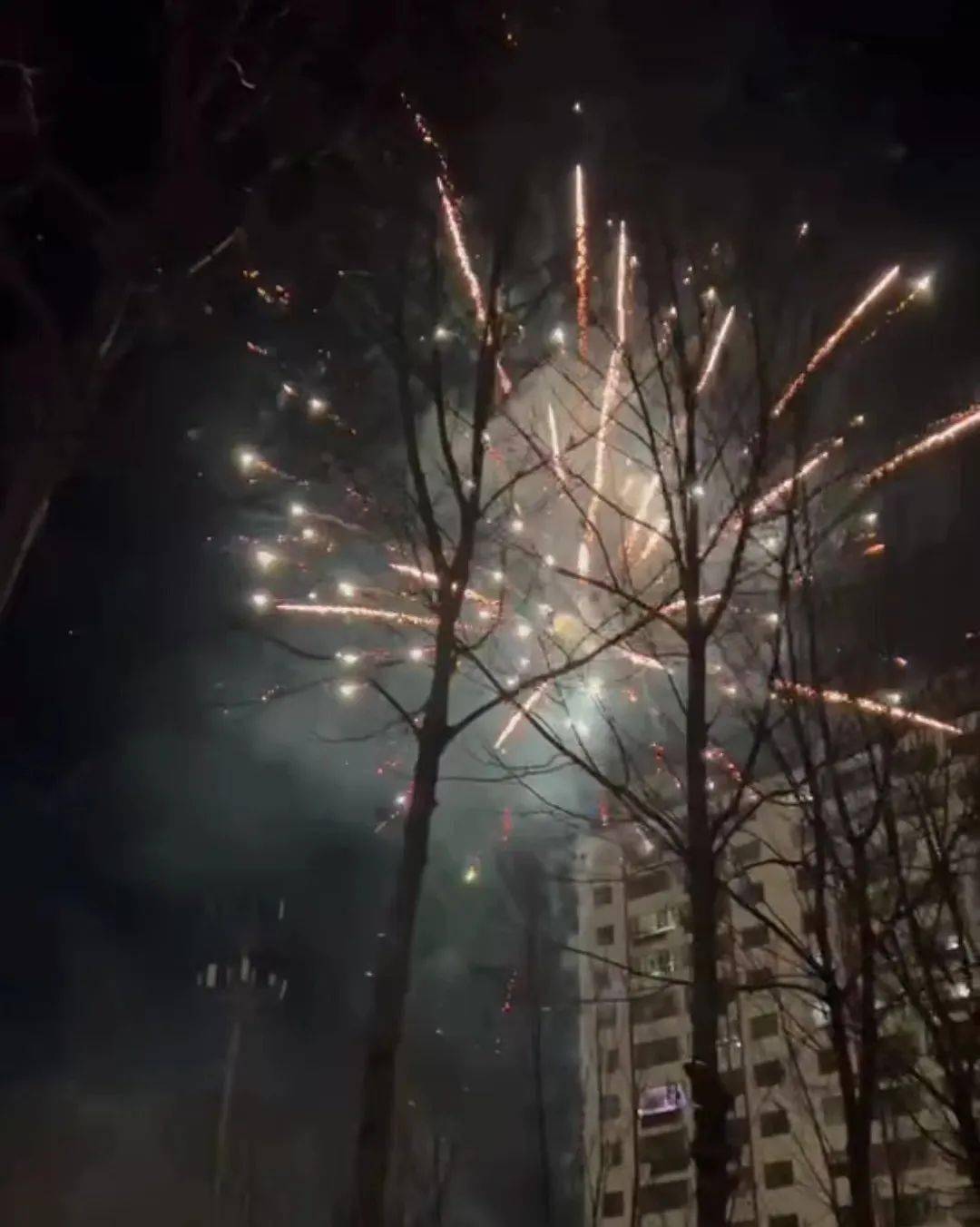 阳光心语|新年这场烟花送给谁_生活_成长_生命