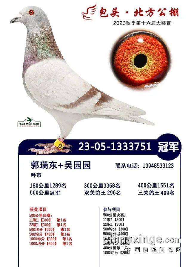 决赛_包头市_热身赛